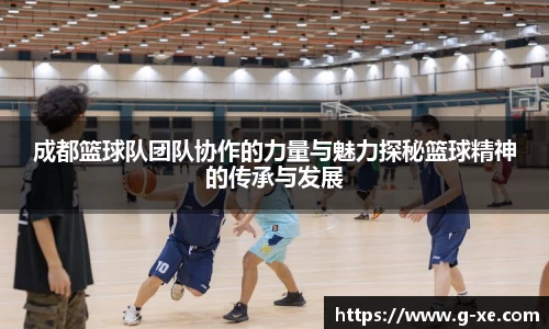 成都篮球队团队协作的力量与魅力探秘篮球精神的传承与发展